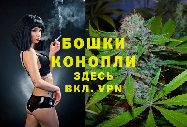 spice Белокуриха
