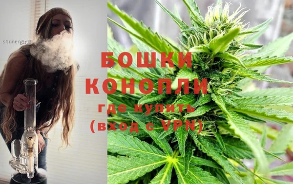 spice Белокуриха