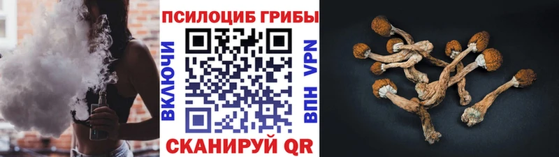 Галлюциногенные грибы ЛСД Добрянка